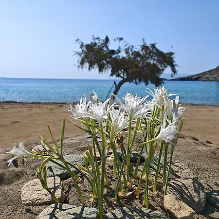 Diana'S Luxury Suites Kíthnos Esterno foto
