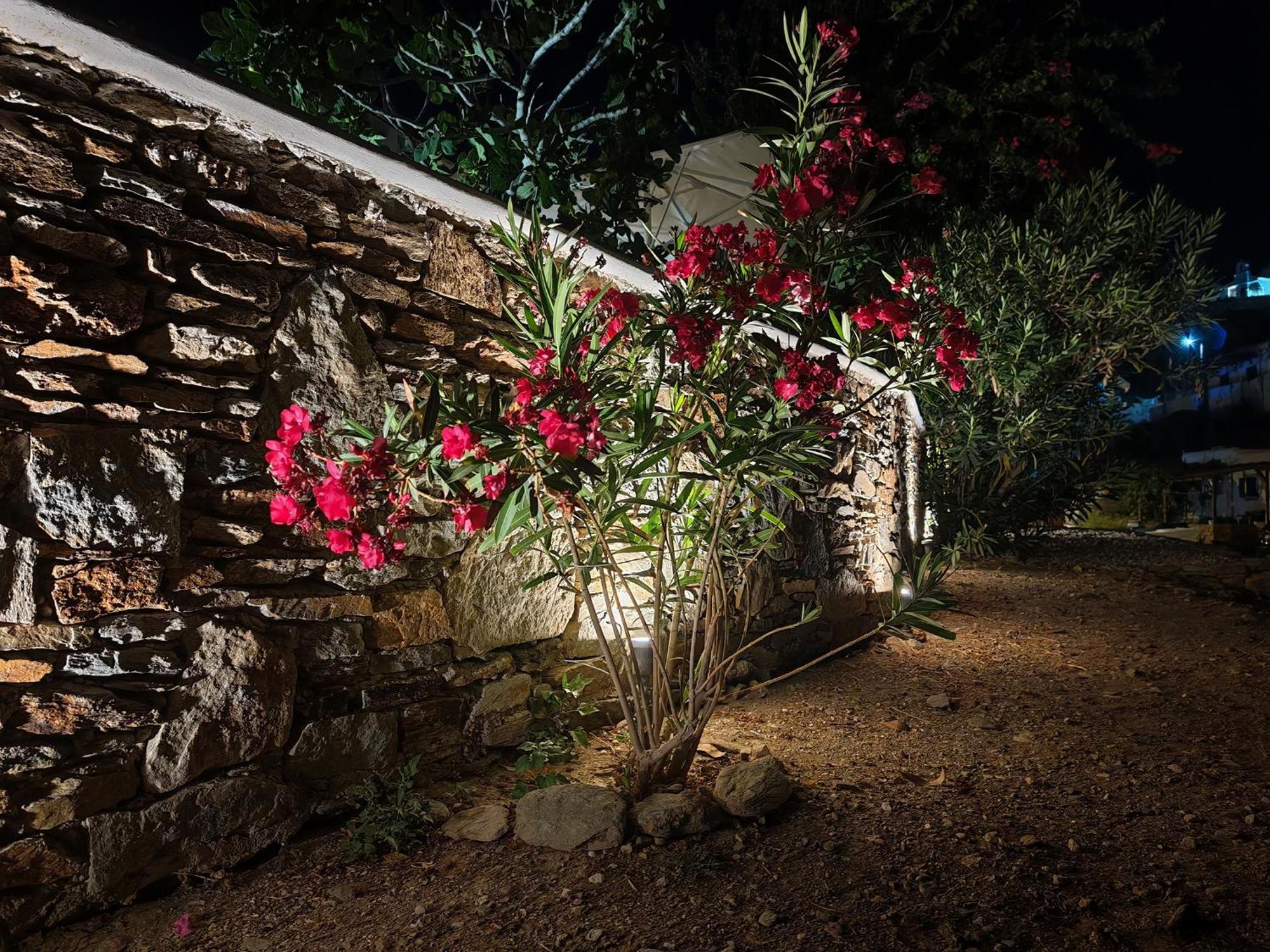 Diana'S Luxury Suites Kíthnos Esterno foto