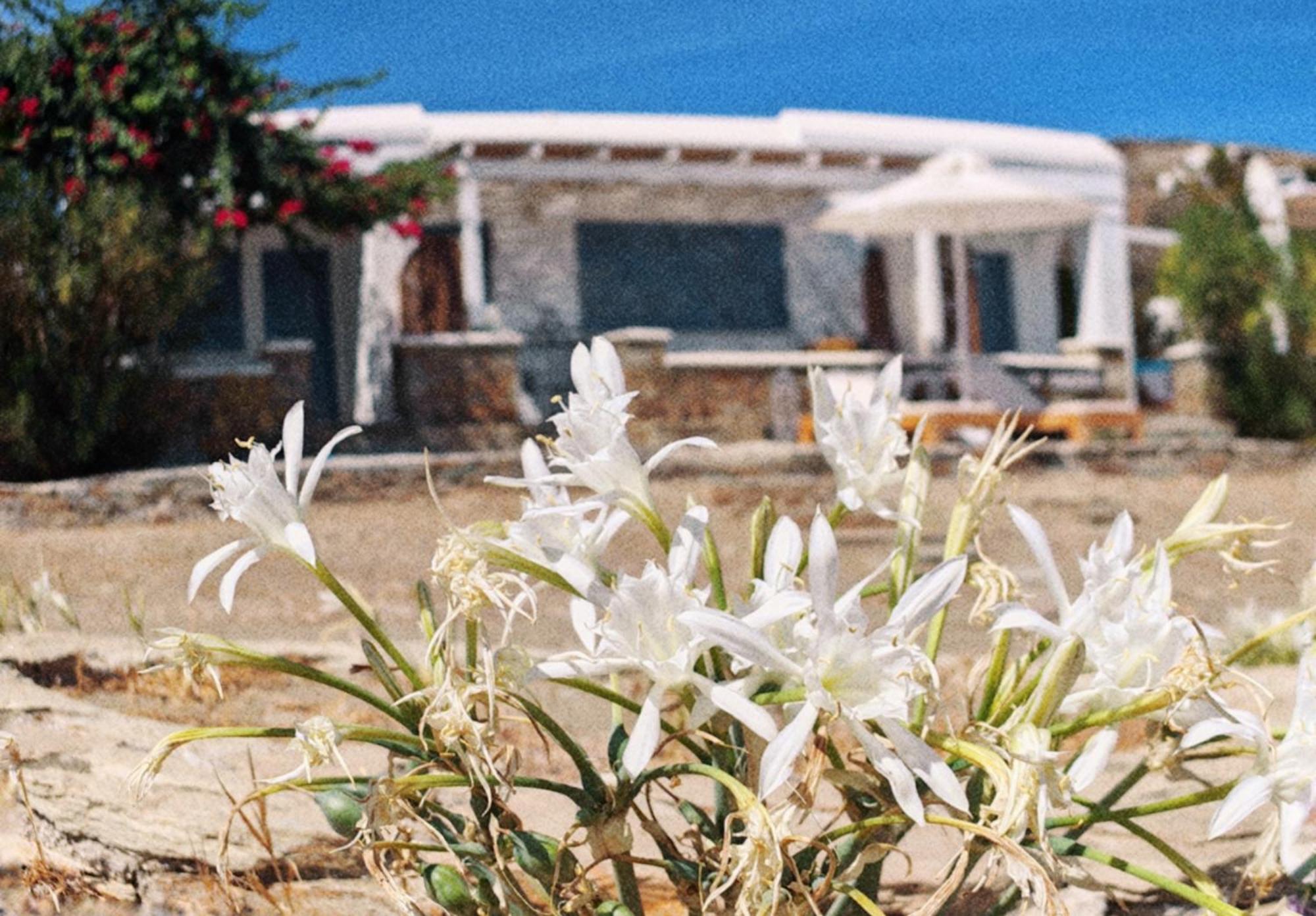 Diana'S Luxury Suites Kíthnos Esterno foto